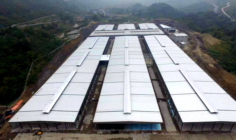 連云港食用菌項目